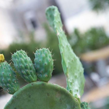 Il Giardino Delle Margherite Lecce Luaran gambar