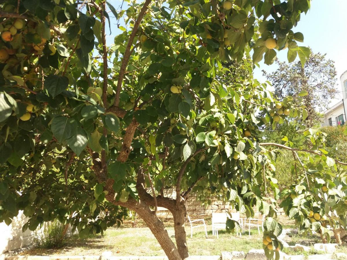 Il Giardino Delle Margherite Lecce Luaran gambar